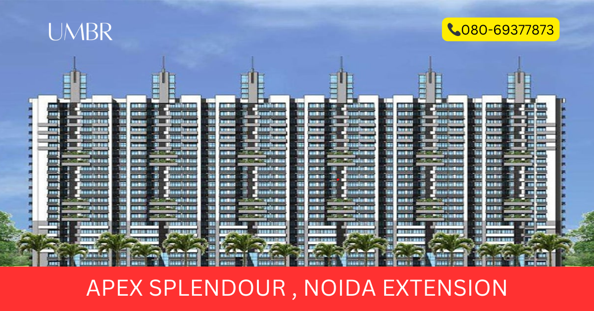 Apex Splendour